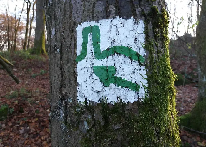 Сasa de vacaciones Robinson Crusoe Schwarzkittelpfad 77 *